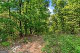 0 Holli Bird Lane - Photo 9