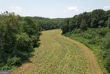 249 & 425 Joe Talley Road - Photo 16