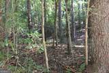 LOT 546 Satsuma North Court - Photo 6
