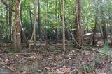 LOT 546 Satsuma North Court - Photo 9