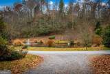 5.97AC Bullen Gap Road - Photo 5