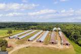 4281 Airline Goldmine Road - Photo 31