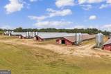 4281 Airline Goldmine Road - Photo 44
