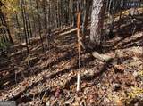LOTS 12 &14 Crows Nest - Photo 16