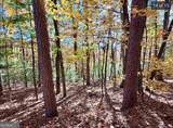 LOTS 12 &14 Crows Nest - Photo 19