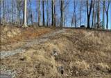 LT 349 Reel Rd - Photo 1