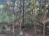 0 Springer Road - Photo 4