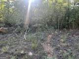 0 Springer Road - Photo 7