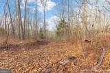 13 ACRES Percheron Drive - Photo 10