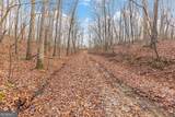 13 ACRES Percheron Drive - Photo 11
