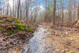 13 ACRES Percheron Drive - Photo 13