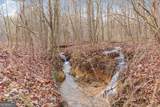 13 ACRES Percheron Drive - Photo 14