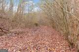 13 ACRES Percheron Drive - Photo 15