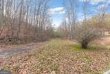 13 ACRES Percheron Drive - Photo 17