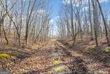 13 ACRES Percheron Drive - Photo 19