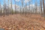 13 ACRES Percheron Drive - Photo 9