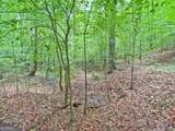 40.7AC Falling Pines Road - Photo 10