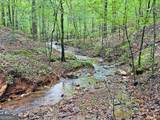 40.7AC Falling Pines Road - Photo 12
