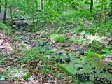 40.7AC Falling Pines Road - Photo 13