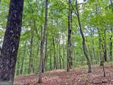 40.7AC Falling Pines Road - Photo 2