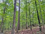 40.7AC Falling Pines Road - Photo 3