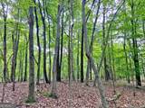 40.7AC Falling Pines Road - Photo 4