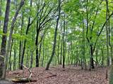 40.7AC Falling Pines Road - Photo 5