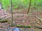 40.7AC Falling Pines Road - Photo 9