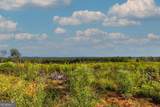 TRACT 3 Highway 0036 - Photo 4