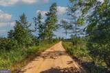 TRACT 5 Carlisle Gap Road - Photo 2