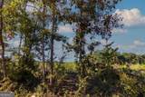 TRACT 6 Carlisle Gap Road - Photo 1
