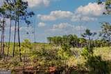 TRACT 6 Carlisle Gap Road - Photo 3
