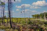 TRACT 6 Carlisle Gap Road - Photo 5