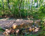 TRACT 7 Carlisle Gap Road - Photo 11