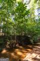 TRACT 7 Carlisle Gap Road - Photo 16