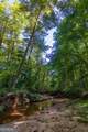 TRACT 7 Carlisle Gap Road - Photo 18