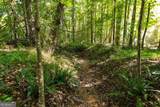 TRACT 7 Carlisle Gap Road - Photo 19