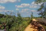 TRACT 7 Carlisle Gap Road - Photo 2