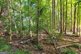 TRACT 7 Carlisle Gap Road - Photo 20