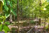 TRACT 7 Carlisle Gap Road - Photo 22