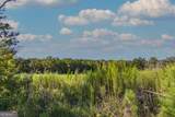 TRACT 7 Carlisle Gap Road - Photo 4