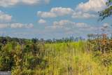 TRACT 7 Carlisle Gap Road - Photo 5