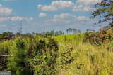 TRACT 7 Carlisle Gap Road - Photo 6
