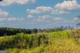 TRACT 7 Carlisle Gap Road - Photo 7