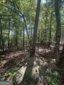 9105 Tarnwood Drive - Photo 3