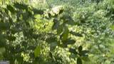 2401 Shea Drive - Photo 32