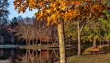 271 Quail Run - Photo 7