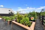 433 Mezzo Lane - Photo 48