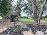 209 Ashley Drive - Photo 50