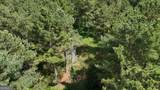 3729 Duncan Bridge Road - Photo 54